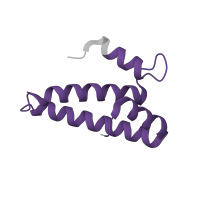 The deposited structure of PDB entry 5wnu contains 1 copy of Pfam domain PF00312 (Ribosomal protein S15) in Small ribosomal subunit protein uS15. Showing 1 copy in chain O.