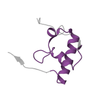 The deposited structure of PDB entry 5wnu contains 1 copy of Pfam domain PF01084 (Ribosomal protein S18) in Small ribosomal subunit protein bS18. Showing 1 copy in chain R.