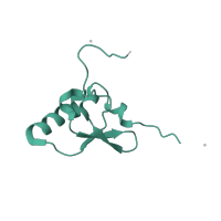 The deposited structure of PDB entry 5wnu contains 1 copy of Pfam domain PF00203 (Ribosomal protein S19) in Small ribosomal subunit protein uS19. Showing 1 copy in chain S.