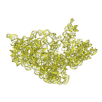 The deposited structure of PDB entry 5wnu contains 1 copy of Rfam domain RF00177 (Bacterial small subunit ribosomal RNA) in 16S Ribosomal RNA rRNA. Showing 1 copy in chain A.