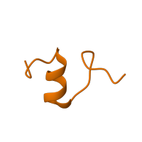 The deposited structure of PDB entry 5wnu contains 1 copy of Pfam domain PF17070 (30S ribosomal protein Thx) in Small ribosomal subunit protein bTHX. Showing 1 copy in chain U.