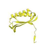 The deposited structure of PDB entry 5wnu contains 1 copy of CATH domain 3.30.70.60 (Alpha-Beta Plaits) in Small ribosomal subunit protein bS6. Showing 1 copy in chain F.