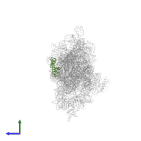 Small ribosomal subunit protein uS13 in PDB entry 5wnu, assembly 1, side view.