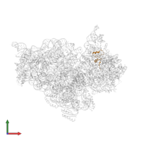 Small ribosomal subunit protein uS14 in PDB entry 5wnu, assembly 1, front view.