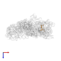 Small ribosomal subunit protein uS14 in PDB entry 5wnu, assembly 1, top view.