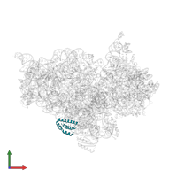 Small ribosomal subunit protein uS15 in PDB entry 5wnu, assembly 1, front view.