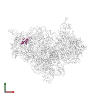 Small ribosomal subunit protein bS16 in PDB entry 5wnu, assembly 1, front view.