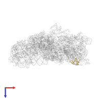 Small ribosomal subunit protein uS19 in PDB entry 5wnu, assembly 1, top view.