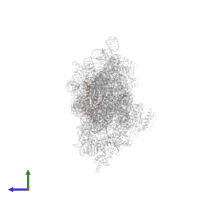 Small ribosomal subunit protein bS20 in PDB entry 5wnu, assembly 1, side view.