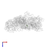 RNA (5'-R(*AP*(A2M)P*A)-3') in PDB entry 5wnu, assembly 1, top view.