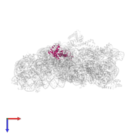 Small ribosomal subunit protein uS4 in PDB entry 5wnu, assembly 1, top view.