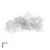 Small ribosomal subunit protein bS6 in PDB entry 5wnu, assembly 1, top view.