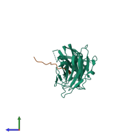 Hetero dimeric assembly 4 of PDB entry 5wtb coloured by chemically distinct molecules, side view.