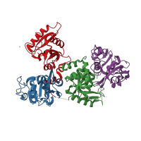 The deposited structure of PDB entry 5wtd contains 4 copies of CATH domain 3.40.190.10 (D-Maltodextrin-Binding Protein; domain 2) in Serotransferrin. Showing 4 copies in chain A.