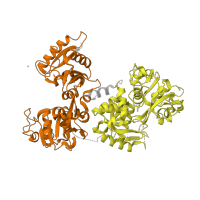 The deposited structure of PDB entry 5wtd contains 2 copies of Pfam domain PF00405 (Transferrin) in Serotransferrin. Showing 2 copies in chain A.