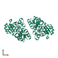 Serine racemase in PDB entry 5x2l, assembly 1, front view.