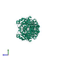 Serine racemase in PDB entry 5x2l, assembly 1, side view.