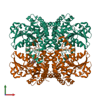 Hetero tetrameric assembly 1 of PDB entry 5x30 coloured by chemically distinct molecules, front view.