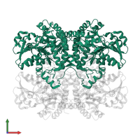 L-methionine gamma-lyase in PDB entry 5x30, assembly 1, front view.