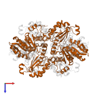 L-methionine gamma-lyase in PDB entry 5x30, assembly 1, top view.