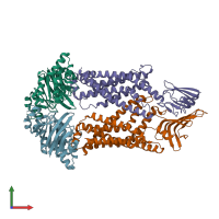 PDB entry 5x5y coloured by chain, front view.