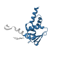 The deposited structure of PDB entry 5x9p contains 1 copy of Pfam domain PF00651 (BTB/POZ domain) in B-cell lymphoma 6 protein. Showing 1 copy in chain A.