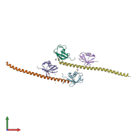 PDB entry 5xit coloured by chain, front view.