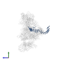 Crooked neck-like protein 1 in PDB entry 5xjc, assembly 1, side view.