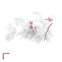 Cell division cycle 5-like protein in PDB entry 5xjc, assembly 1, top view.