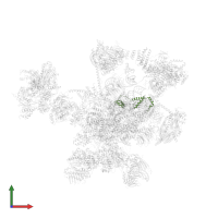 Pre-mRNA-splicing factor SYF2 in PDB entry 5xjc, assembly 1, front view.