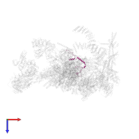 Spliceosome-associated protein CWC15 homolog in PDB entry 5xjc, assembly 1, top view.