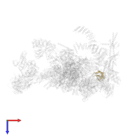 Peptidyl-prolyl cis-trans isomerase-like 1 in PDB entry 5xjc, assembly 1, top view.