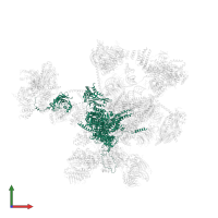 Pre-mRNA-processing-splicing factor 8 in PDB entry 5xjc, assembly 1, front view.