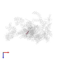 PRKR-interacting protein 1 in PDB entry 5xjc, assembly 1, top view.