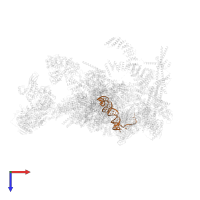 U5 snRNA in PDB entry 5xjc, assembly 1, top view.