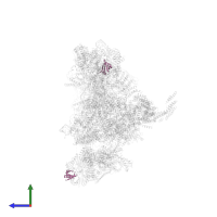 Small nuclear ribonucleoprotein E in PDB entry 5xjc, assembly 1, side view.