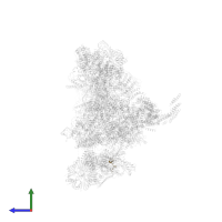 Protein CASC3 in PDB entry 5xjc, assembly 1, side view.