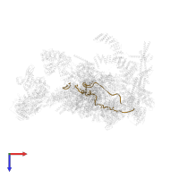 pre-mRNA in PDB entry 5xjc, assembly 1, top view.