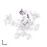 Homo sapiens small nuclear RNA (U2) gene in PDB entry 5xjc, assembly 1, front view.