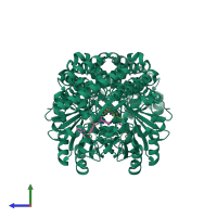 Homo dimeric assembly 2 of PDB entry 5xmq coloured by chemically distinct molecules, side view.