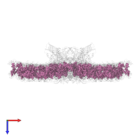 CHLOROPHYLL A in PDB entry 5xnm, assembly 1, top view.