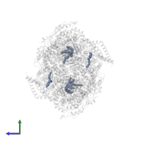 1,2-Dioleoyl-sn-glycero-3-phosphoethanolamine in PDB entry 5xte, assembly 1, side view.