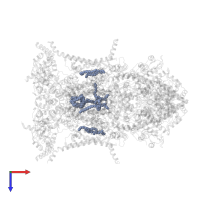 1,2-Dioleoyl-sn-glycero-3-phosphoethanolamine in PDB entry 5xte, assembly 1, top view.