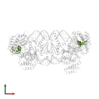 DNA (5'-D(P*TP*TP*CP*TP*CP*CP*GP*AP*G)-3') in PDB entry 5xvp, assembly 1, front view.