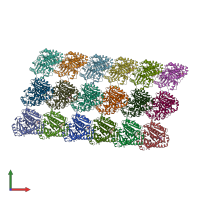 PDB entry 5xxx coloured by chain, front view.