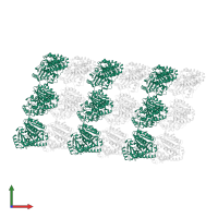 Tubulin alpha-1A chain in PDB entry 5xxx, assembly 1, front view.