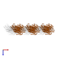 Tubulin beta chain in PDB entry 5xxx, assembly 1, top view.