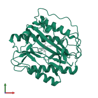 Methionine aminopeptidase 1 in PDB entry 5ykp, assembly 1, front view.