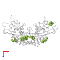 PENTAETHYLENE GLYCOL in PDB entry 5yps, assembly 2, top view.