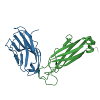 The deposited structure of PDB entry 5yxn contains 2 copies of CATH domain 2.60.40.10 (Immunoglobulin-like) in T cell receptor beta chain. Showing 2 copies in chain B.